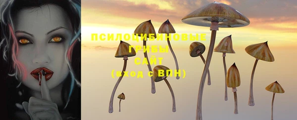 крисы Елизово