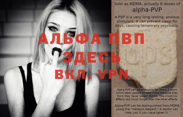 молекула духа Семилуки