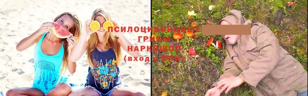круглые Ельня